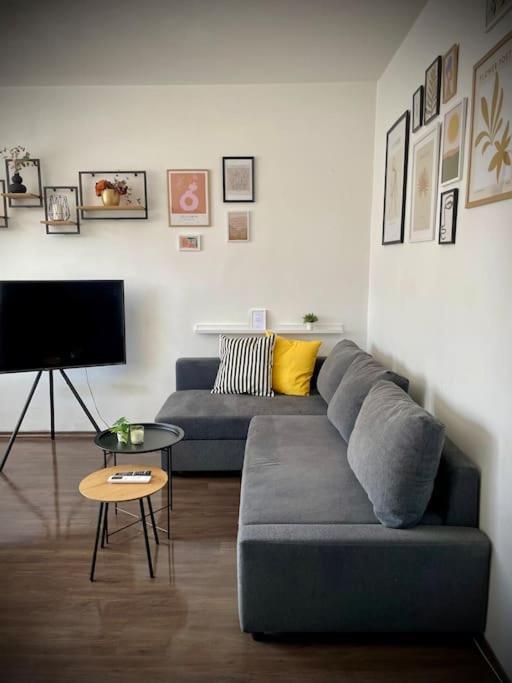 Cozy Free Parking Wi-fi Netflix Sofia