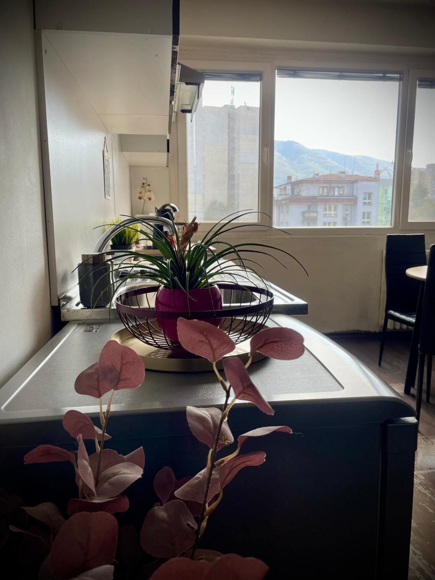 Cozy Free Parking Wi-fi Netflix Apartament